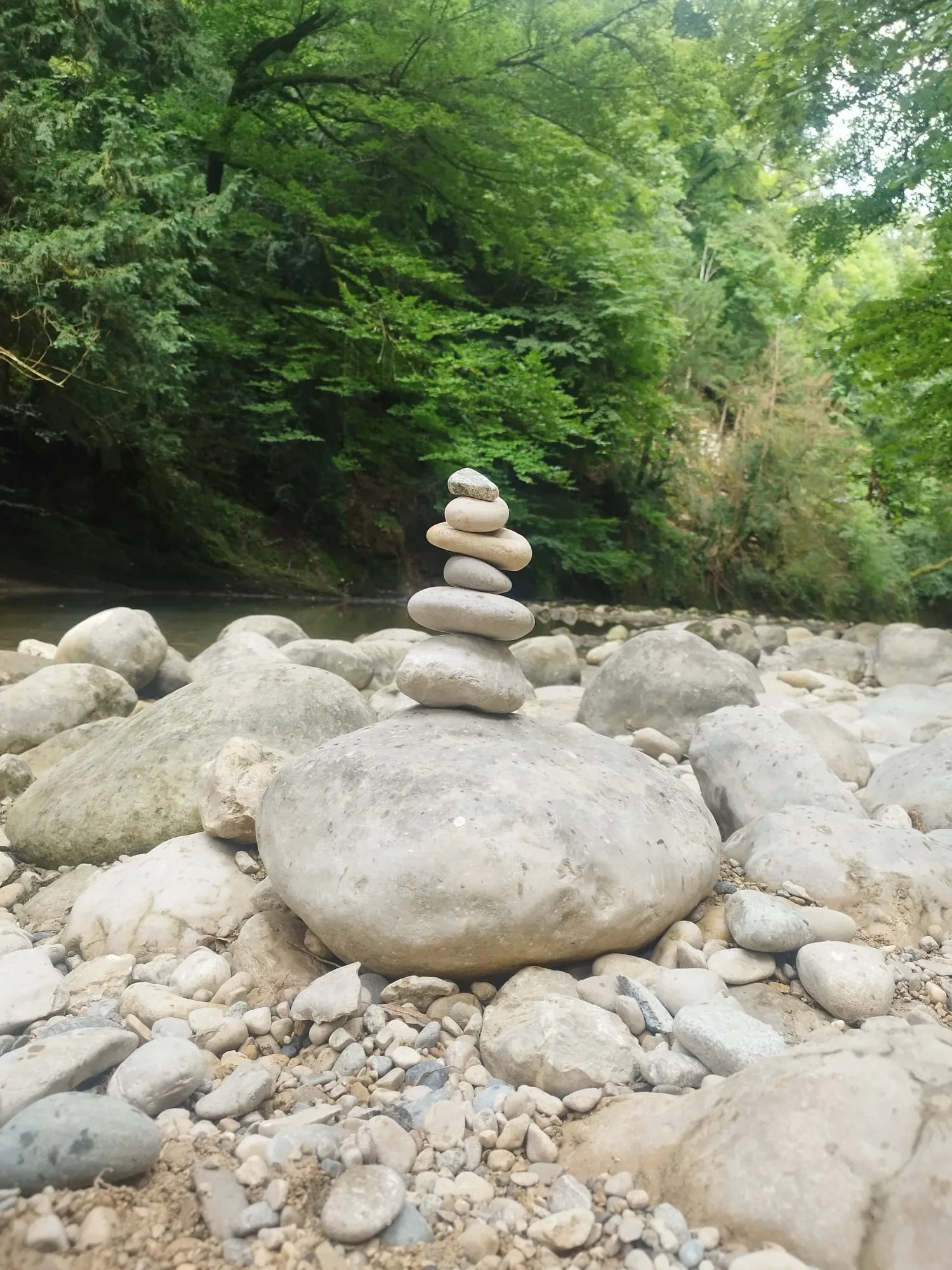 Emilie en pleine nature — connexion vivante